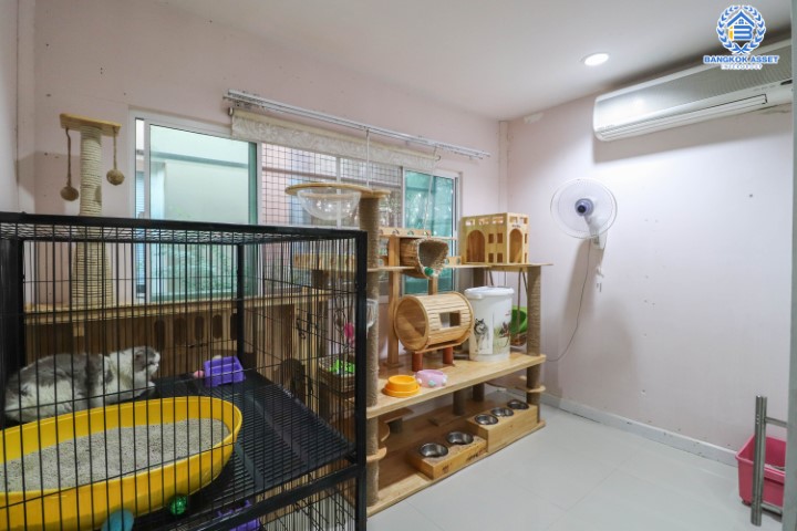 *****บ้านเดี่ยวทำเลใจกลางเมือง ม.เศรษฐสิริ งามวงศ์วาน-ประชาชื่น หลังมุม (ตรงข้าม ม.ธุรกิจบัณฑิตย์) บ้านหลังใหญ่ เนื้อที่ 77.8 ตร.ว. ฟังก์ชัน 5 ห้องนอน 4 ห้องน้ำ 2 ที่จอดรถ พื้นที่ใช้สอยเกือบ 250 ตร.ม. หน้าโครงการติดถนนประชาชื่น เชื่อมต่อถนนหลายสาย ใกล้เดอะมอลล์ฯ และจุดขึ้นทางด่วนงามวงศ์วาน